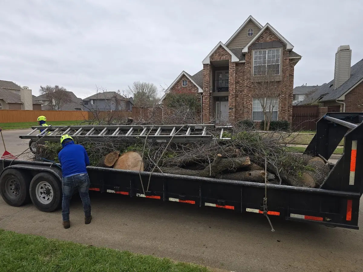 Expert Tree Removal with proper safety equipment in New Columbia